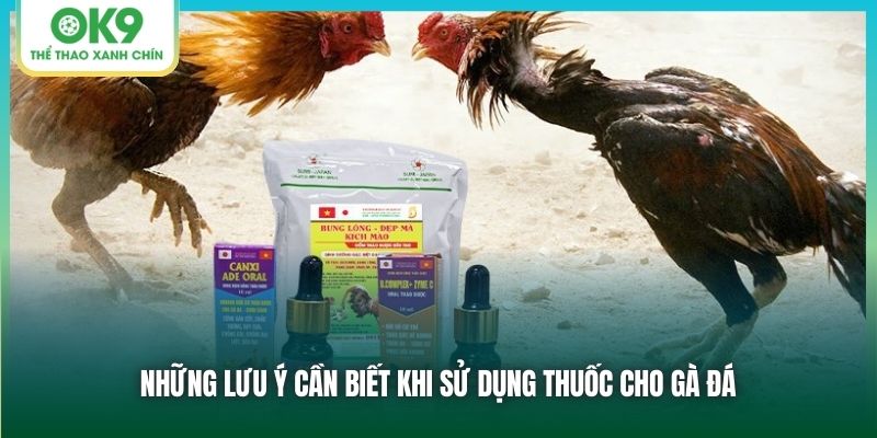 Những lưu ý cần biết khi sử dụng thuốc cho gà đá